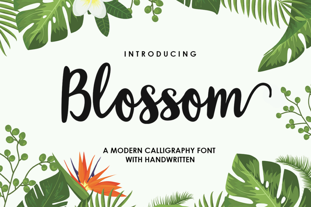 Blossom Script Font - best script font for Cricut