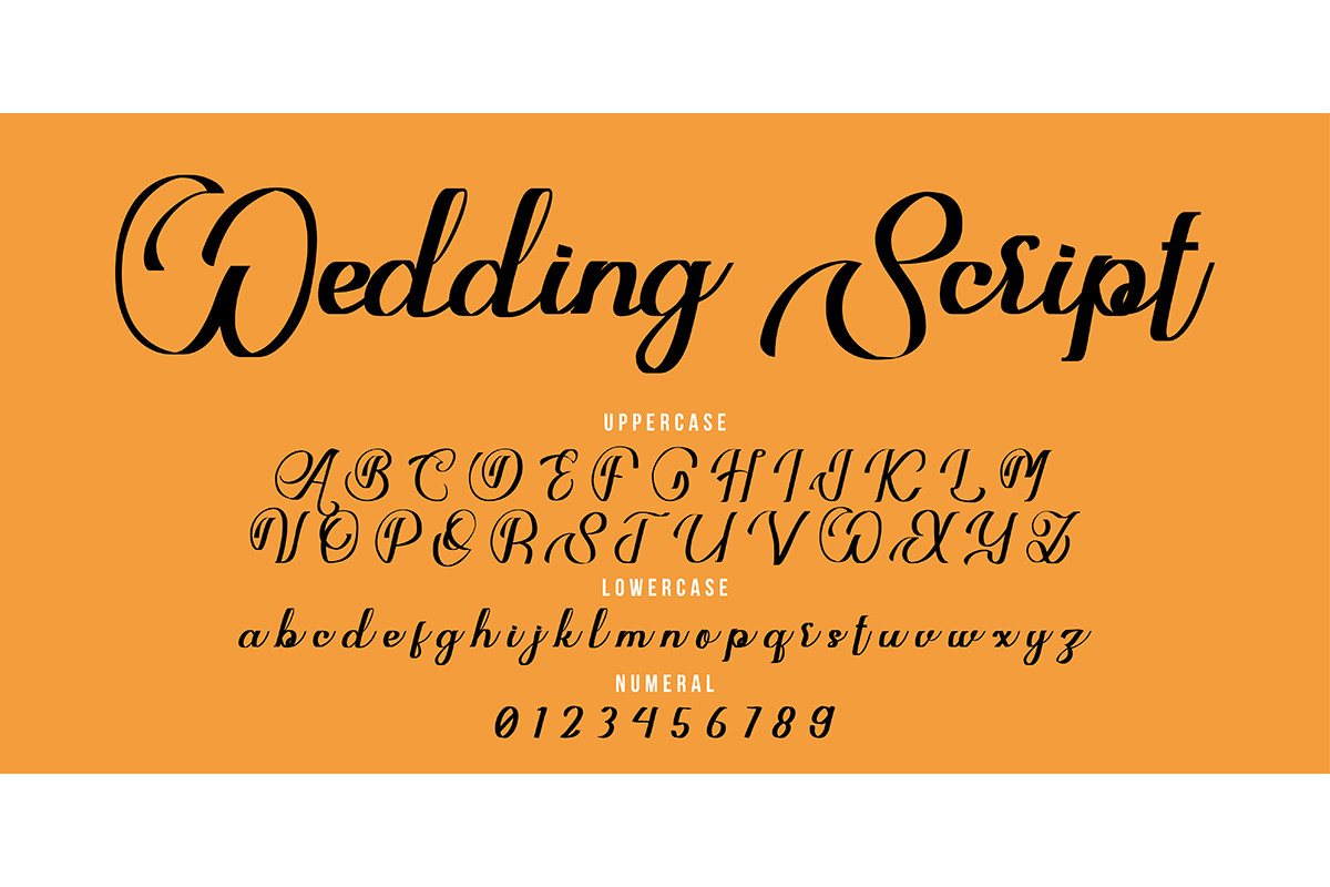 Handwritten Wedding Script Font - best script font for Cricut